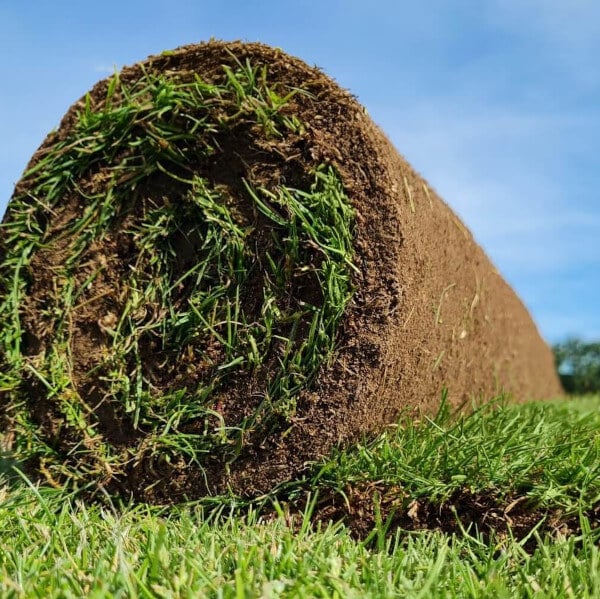 Rolawn Medallion Turf