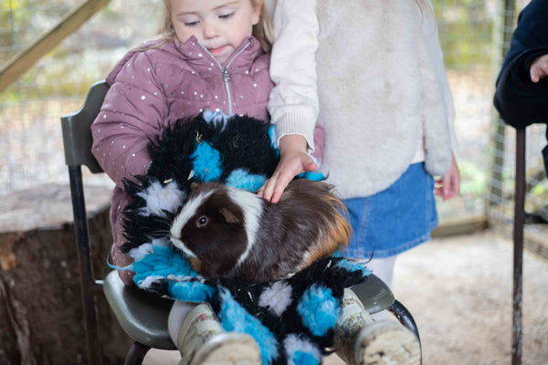 Trekking & Petting Zoo